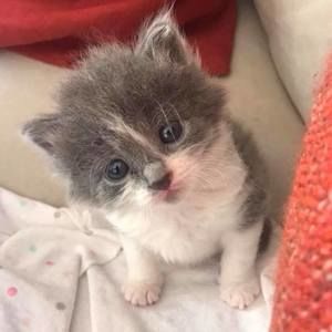 Meet your Posher, Teresa